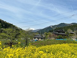 道志村から